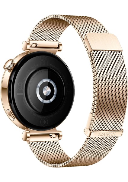 Watch Gt 4 41 mm Altın Rengi Akıllı Saat