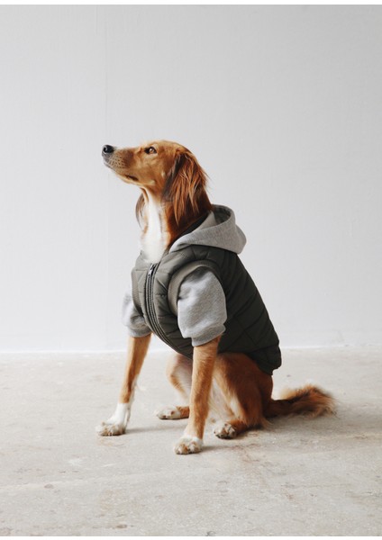 Puffer Haki Köpek Mont modelleri
