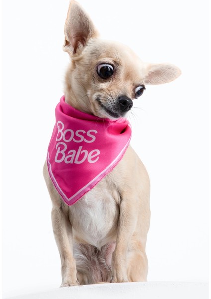 Boss Babe Pembe Köpek Bandana fiyatları
