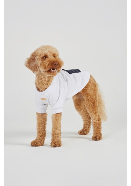Beyaz Köpek T-Shirt fırsatları