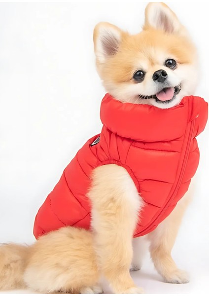 Puffer Kırmızı Köpek Yeleği