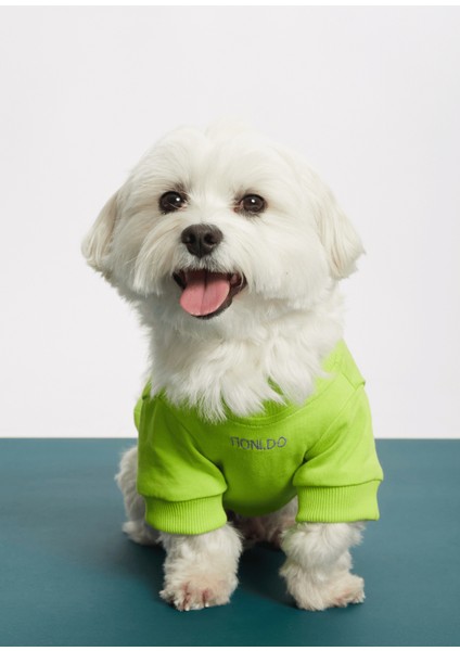 Yeşil Balance Sloganlı Köpek T-Shirt