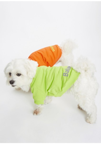 Yeşil Balance Sloganlı Köpek T-Shirt