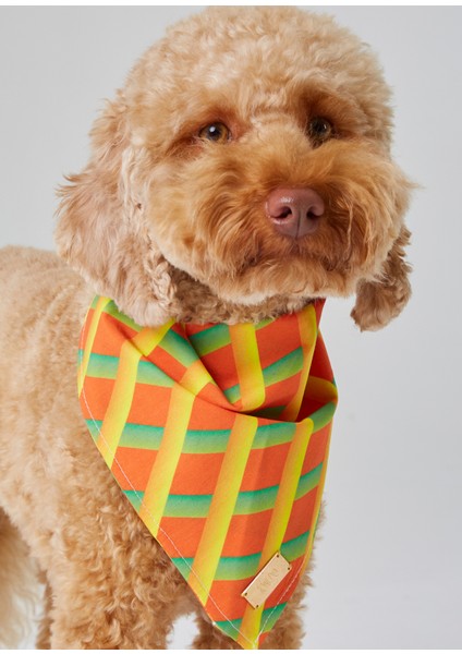 Turuncu Geometrik Desenli Köpek Bandana