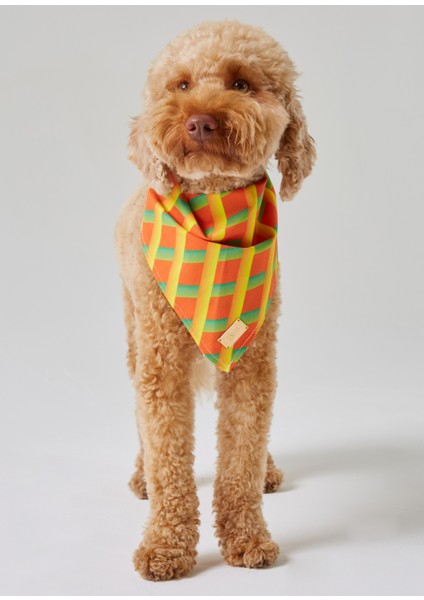 Turuncu Geometrik Desenli Köpek Bandana
