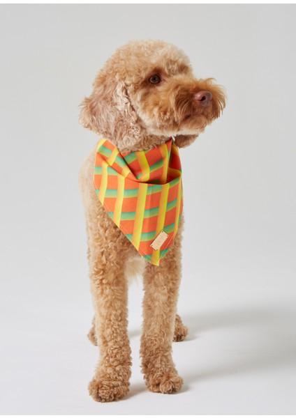 Turuncu Geometrik Desenli Köpek Bandana