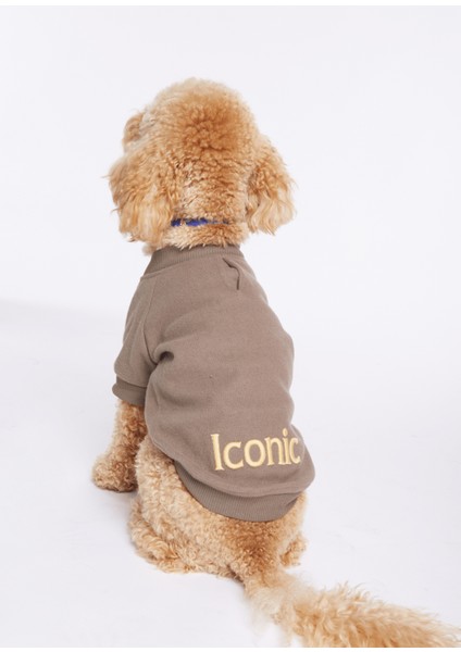 Iconic Sloganlı Haki Köpek Kolej Ceketi fırsatları