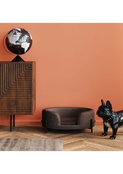Bed Dream Day Gri Kedi ve Köpek Yatağı fiyatları