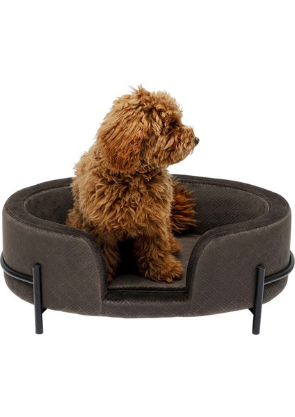 Bed Dream Day Gri Kedi ve Köpek Yatağı