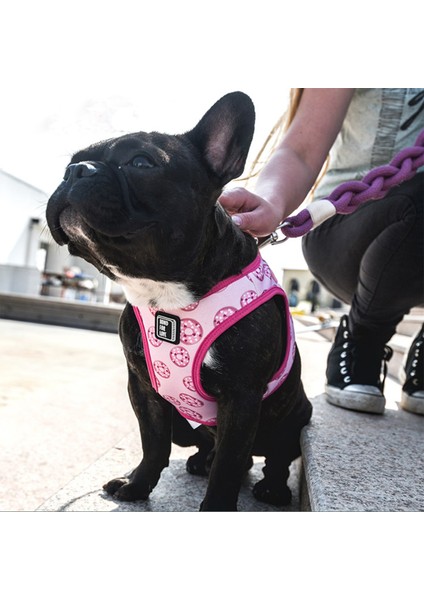 Ispet Donut Airmesh Pembe Köpek Göğüs Tasması