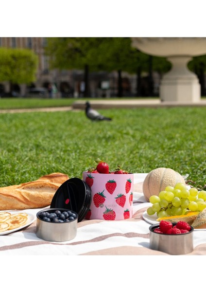 Strawberry Les Artistes Paris Pembe Isı Yalıtımlı Çelik Yemek Termosu 700 ml modelleri