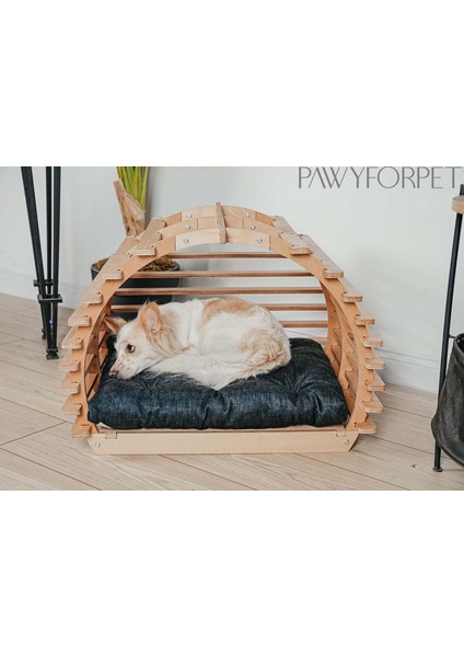 Tünel Ahşap Lacivert Medium Kedi ve Orta Irk Köpek Yatağı fırsatları