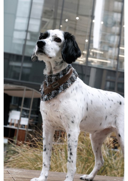 Mavi Deri Detaylı Köpek Bandana
