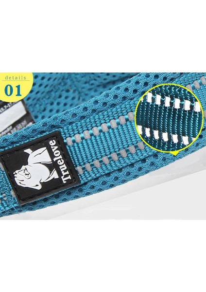 Yumuşak Süngerli Mesh Mor Köpek Boyun Tasması
