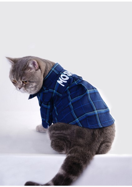 Eros Lacivert Kedi Gömleği