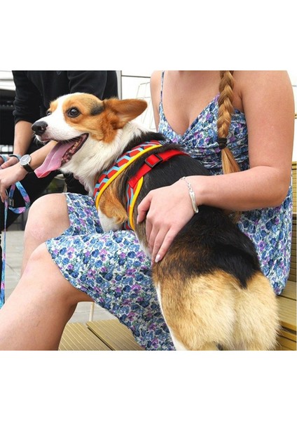Ispet Mavi Zigzag Airmesh Köpek Göğüs Tasması