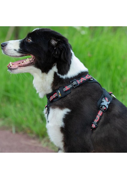 Cordura Kumaşlı Asker Yeşili Köpek Göğüs Tasması
