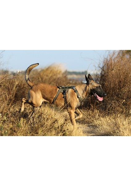 Tactical Asker Yeşili Köpek Göğüs Tasması
