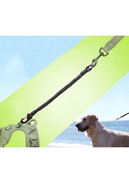 Kırmızı Anti-Shock Köpek Tasma Kayışı Uzantısı fırsatları