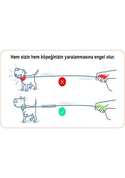 Kırmızı Anti-Shock Köpek Tasma Kayışı Uzantısı