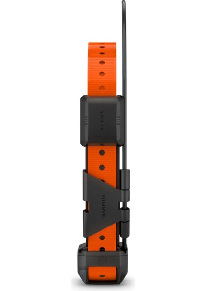 Alpha Tt 25 Turuncu Köpek Tasması modelleri