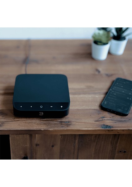 Network Player Siyah Amfi