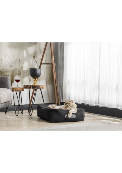 Original Siyah Küçük Irk Köpek Yatağı