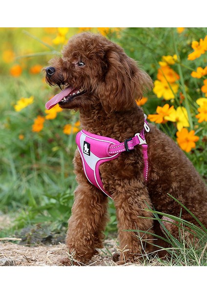 Oxford Kumaşlı Pembe Mesh Köpek Göğüs Tasması