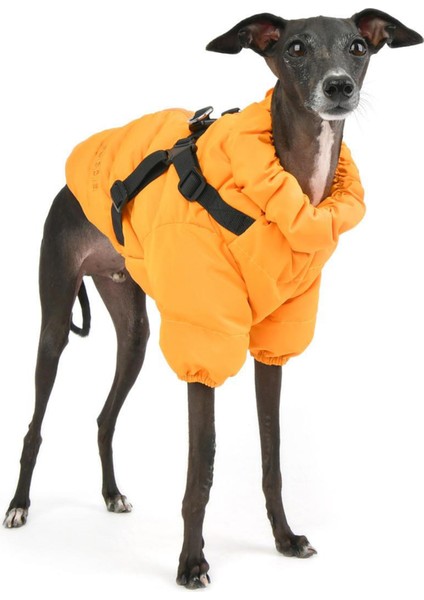 Soft Jumper Turuncu Tasmalı Köpek Montu