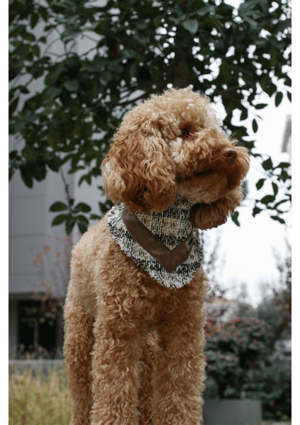 Krem Rengi Deri Detaylı Köpek Bandana