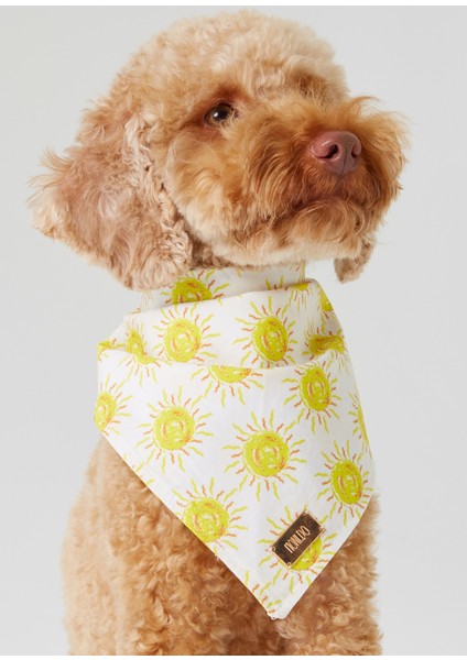 Açık Sarı Güneş Desenli Köpek Bandana
