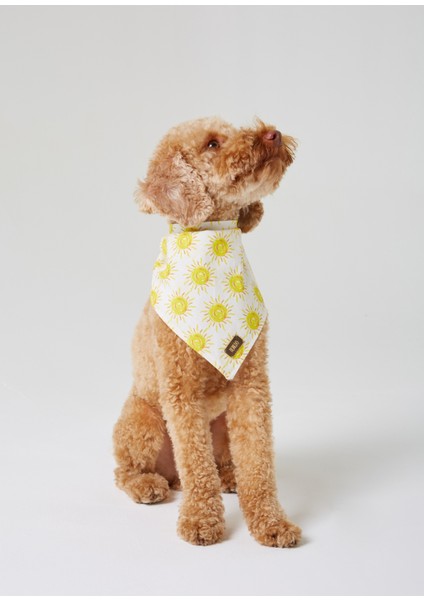 Açık Sarı Güneş Desenli Köpek Bandana