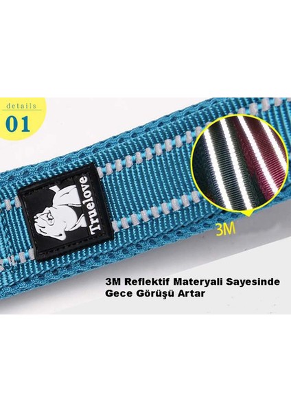 Neon Sarı Yumuşak Süngerli Köpek Tasma Kayışı