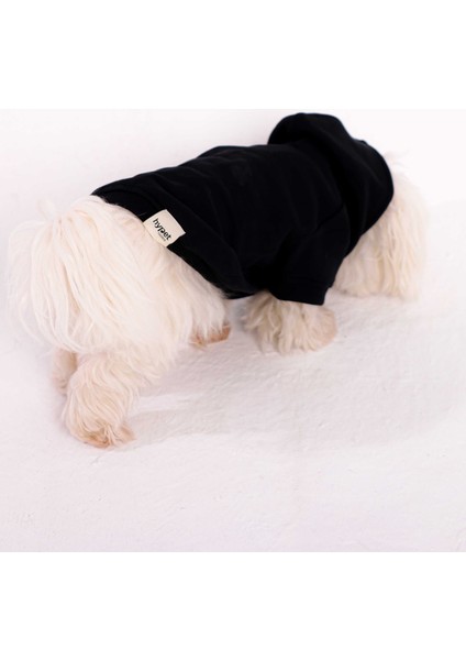 Jet Black Hoodie Siyah Köpek Kıyafeti modelleri