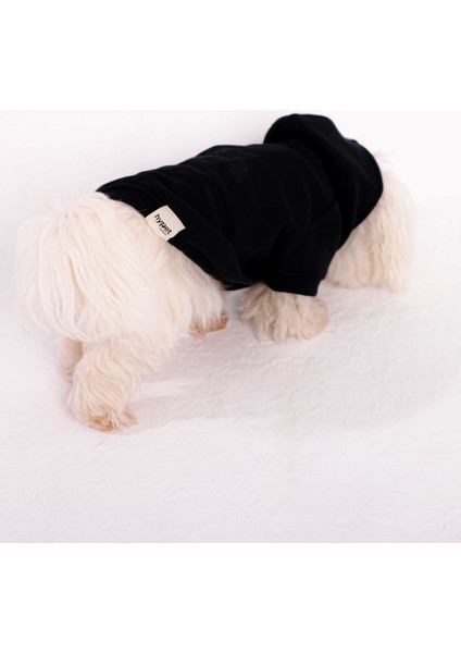 Jet Black Hoodie Siyah Köpek Kıyafeti fırsatları