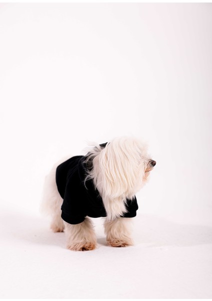 Jet Black Hoodie Siyah Köpek Kıyafeti indirimleri