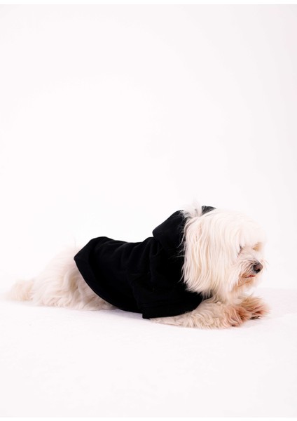 Jet Black Hoodie Siyah Köpek Kıyafeti