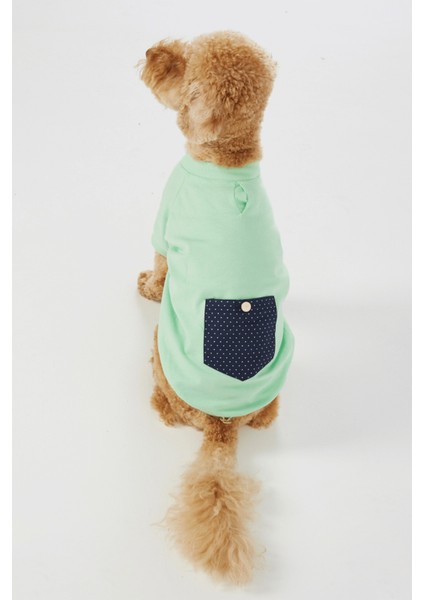 Mint Rengi Köpek T-Shirt fırsatları