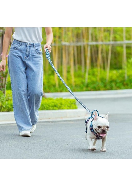 Mavi Neoprene Süngerli Çiçek Desenli Köpek Tasma Kayışı