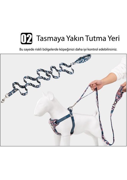 Mavi Neoprene Süngerli Çiçek Desenli Köpek Tasma Kayışı