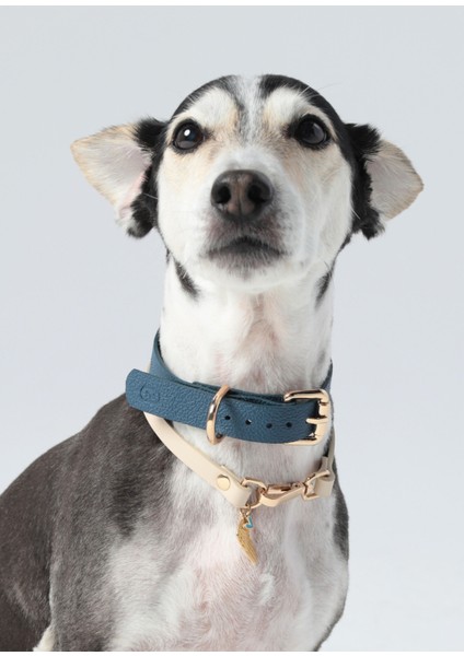 Bej Deri Charm Köpek Boyun Tasması