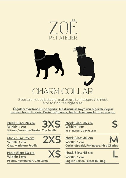 Bej Deri Charm Köpek Boyun Tasması