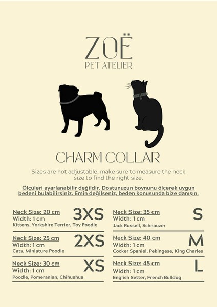 Charm Siyah Köpek Boyun Tasması