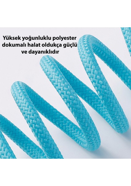 Sakura Siyah Halat Köpek Tasma Kayışı