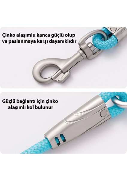 Sakura Siyah Halat Köpek Tasma Kayışı