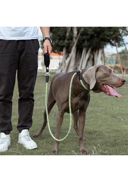 Kırmızı Reflektörlü Boğma Köpek Tasma Halatı