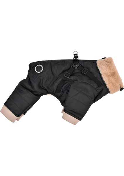 Everson Dog Jumpsuit Siyah Tasmalı Köpek Tulumu