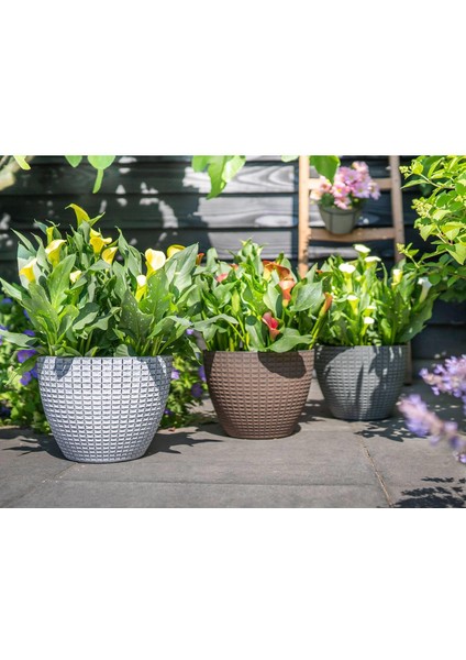 Nanda Beyaz Desenli Plastik Saksı modelleri