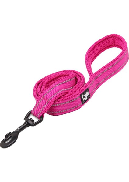 Pembe Yumuşak Süngerli Köpek Tasma Kayışı