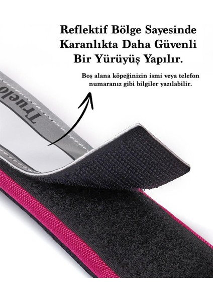 Cordura Kumaşlı Mesh Turuncu Köpek Boyun Tasması